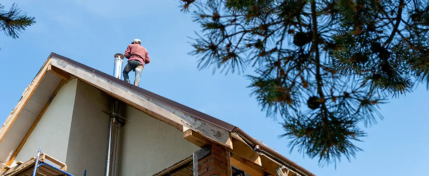 Birds Removal Contractors from Chimney in Kerrville, TX
